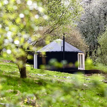 Blizberg 77 - Gory Izerskie * Gierczyn